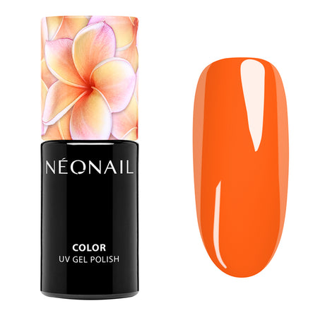 Inner Bloom - Collezione Completa