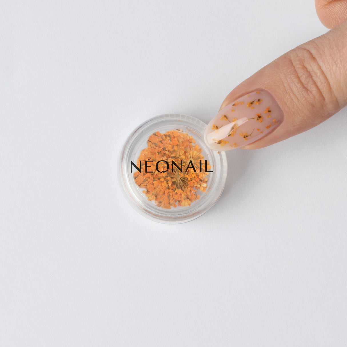 Fiori per nail art 03