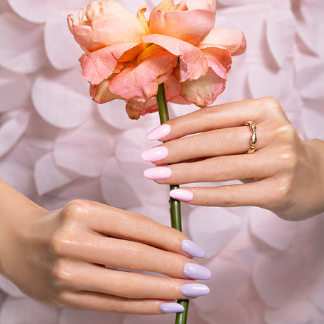 Spring In Motion - Collezione Completa