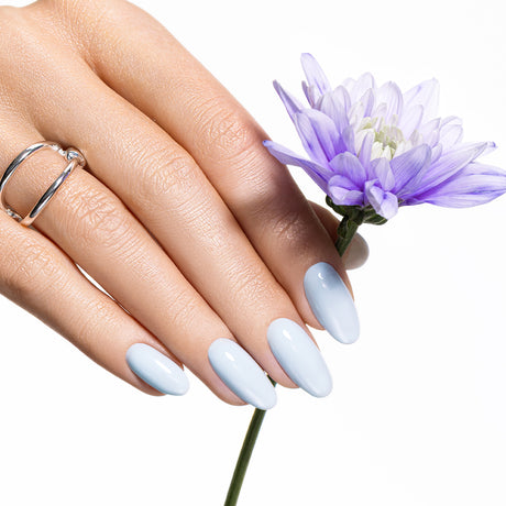 Spring In Motion - Collezione Completa