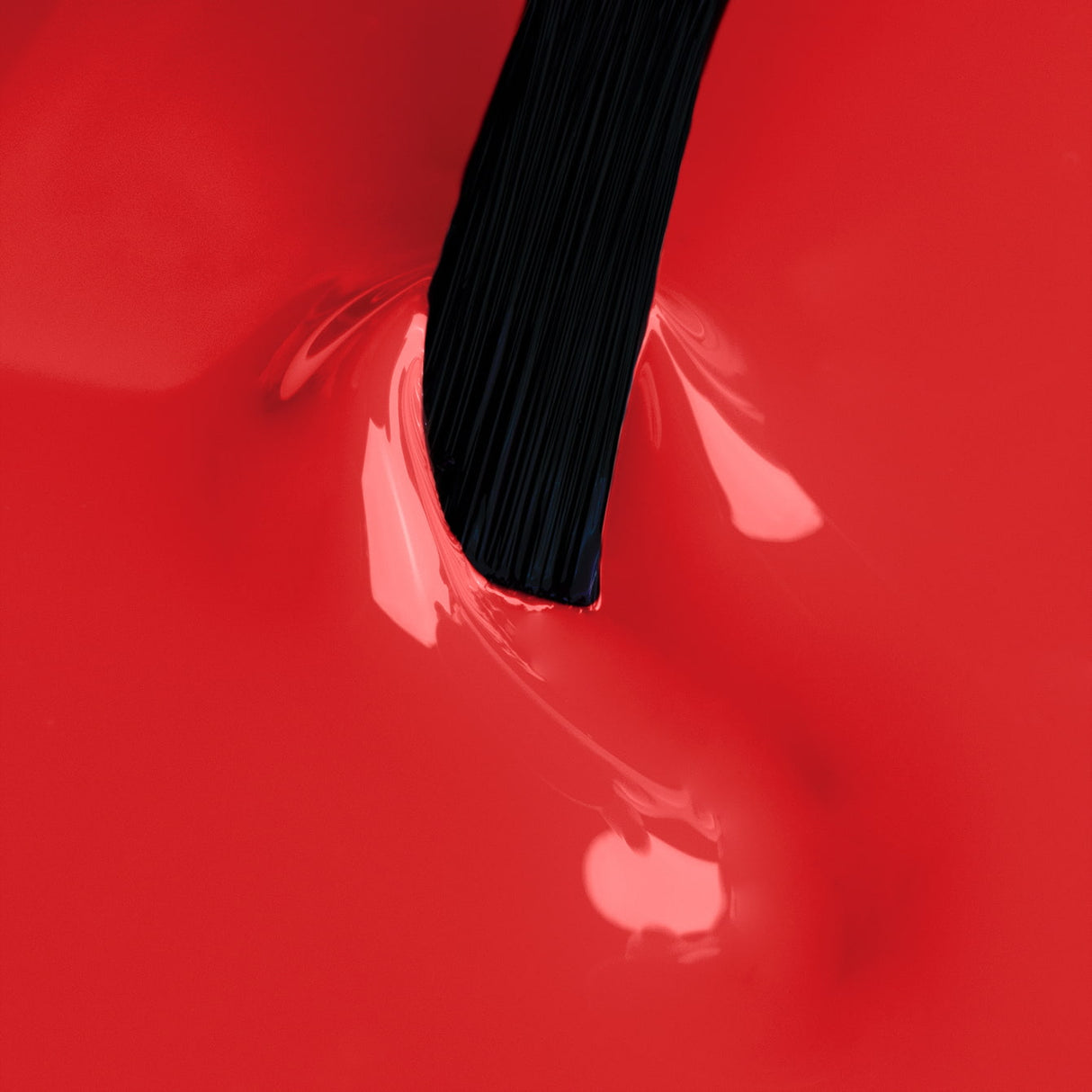 : l'indispensabile per la tua manicure lo trovi su Neonail Expert
