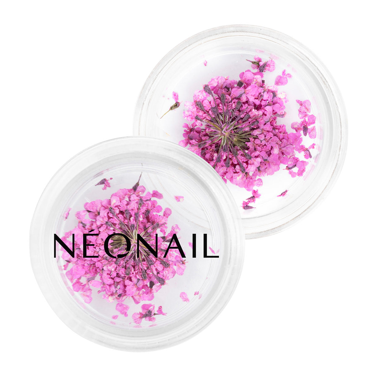 Fiori per nail art 02