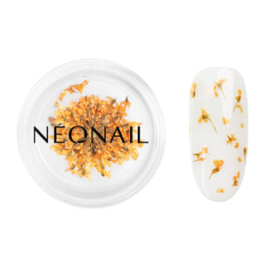 Fiori per nail art 03