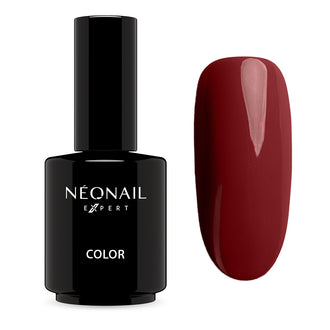 Nuova collezione Winter Symphony