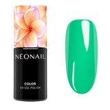 Inner Bloom - Collezione Completa