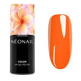 Inner Bloom - Collezione Completa