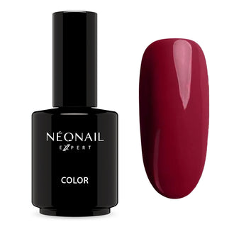 Nuova collezione Winter Symphony