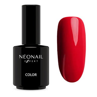 Nuova collezione Winter Symphony