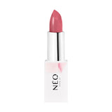 Sheer Lipstick 04 Raspberry Pudding