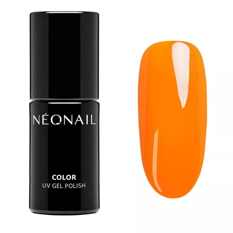 Amalphi Mood - Collezione Completa