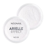 Polvere per unghie Arielle Effect 09 - 2 gr