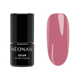 Timeless Gift – Set 5 Smalti Semipermanenti 3 ml